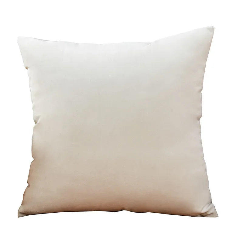 Velvet Cushion Cover Soft Pillow Cover 45x45 cm Pillow Case for Living Room Sofa Decoration Nordic Home Decor Throw Pillow Cover