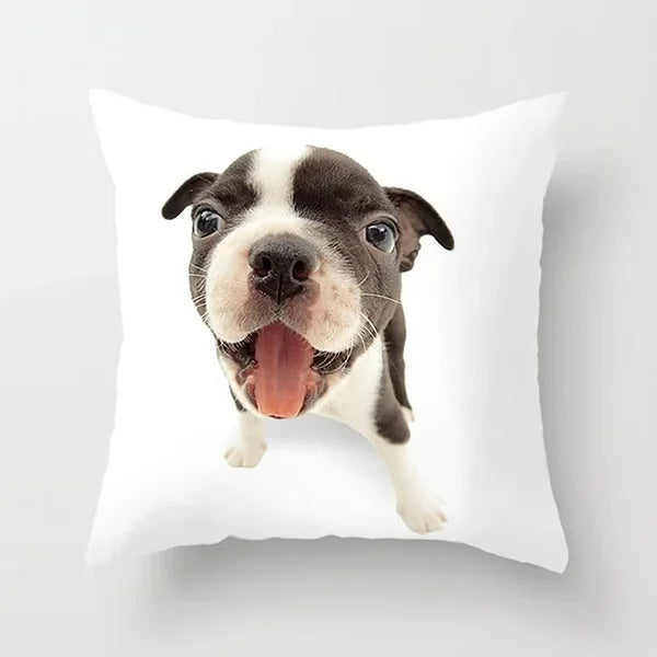 Vibrant Animal Portrait Pillow Covers 45x45cm Soft Velvet Decorative Cushion Cover Dog Cat Tiger Lion Pillowcases for  Sofa Car